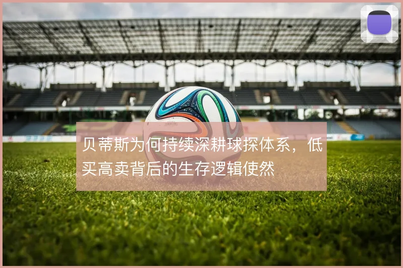 贝蒂斯为何持续深耕球探体系，低买高卖背后的生存逻辑使然