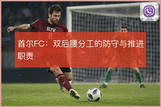 首尔FC:双后腰分工的防守与推进职责