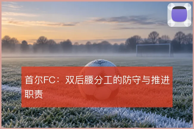 首尔FC:双后腰分工的防守与推进职责
