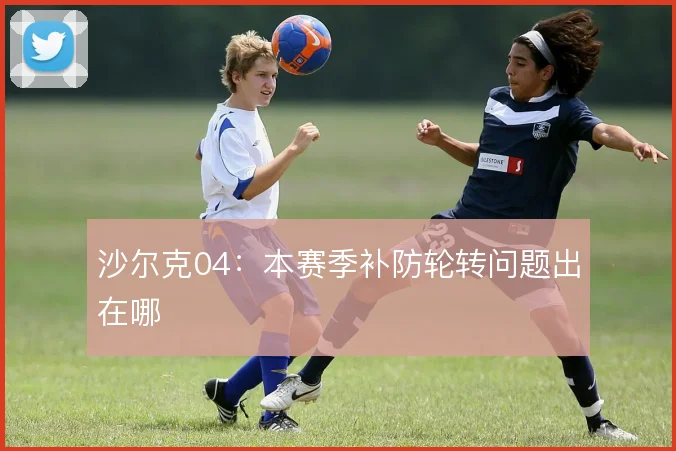 沙尔克04：本赛季补防轮转问题出在哪