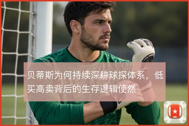 贝蒂斯为何持续深耕球探体系，低买高卖背后的生存逻辑使然